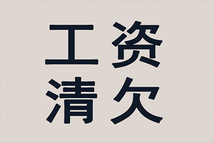 泰兴追账公司